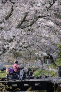 信楽高原鉄道撮影会 JEUGIAカルチャーセンター 『鉄道風景写真講座』