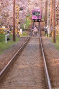 京都嵐山撮影会 JEUGIAカルチャーセンター 『鉄道風景写真講座』