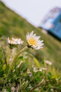 東海道新幹線・近江鉄道撮影会 JEUGIAカルチャーセンター 『鉄道風景写真講座』