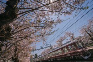 京都嵐山撮影会 JEUGIAカルチャーセンター 『鉄道風景写真講座』