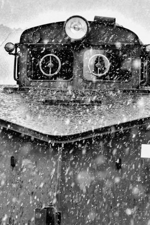 第66回　二科会写真部展 入選　『生きかえる』